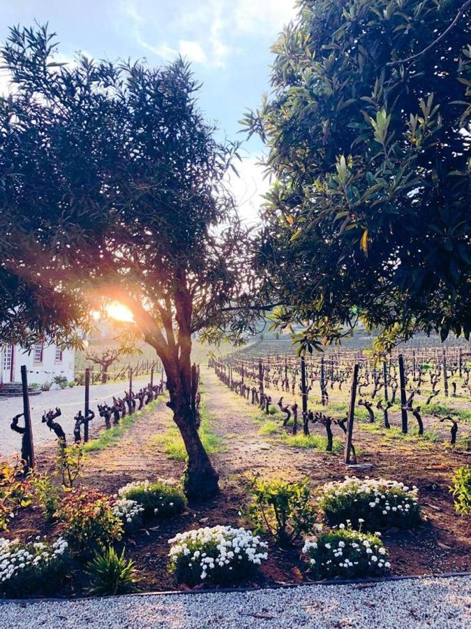 Morgadio Da Calcada Douro Wine&tourism Country house Pinhao